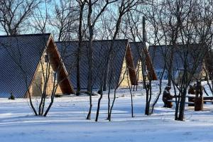 База отдыха «База отдыха «Река и Лес»», Большая Каменка