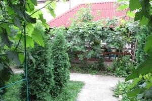 Summer house