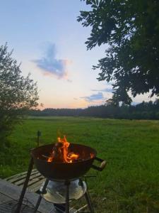 Hoki Camp - 16