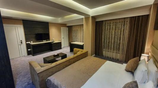 Parkway Inn & Spa - 83