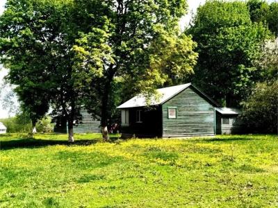 Бояринцево - 111