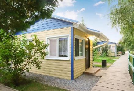Подсолнухи - 11
