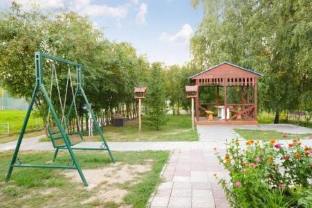 Подсолнухи - 60