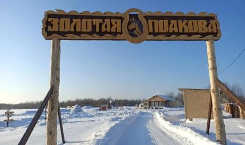 Золотая подкова - 5