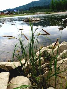 Парк Зилим - 18