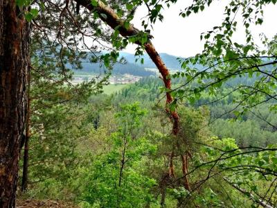 Парк Зилим - 24