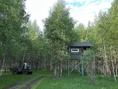 Сказка - 2