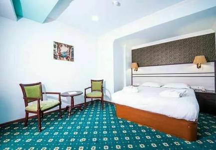 Borjomi Palace Health & Spa Center - 46