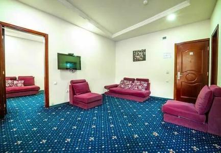 Borjomi Palace Health & Spa Center - 50