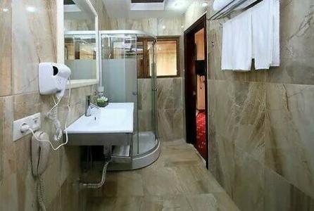 Borjomi Palace Health & Spa Center - 51