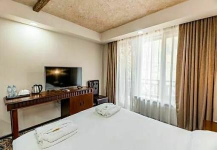 Borjomi Palace Health & Spa Center - 40