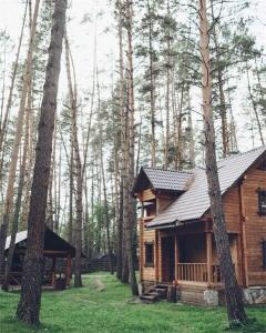 Деревня Берендеевка - 252