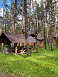 Деревня Берендеевка - 289