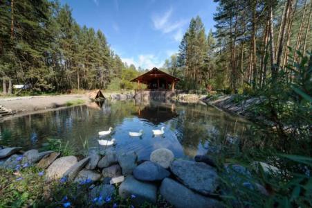 Деревня Берендеевка - 224