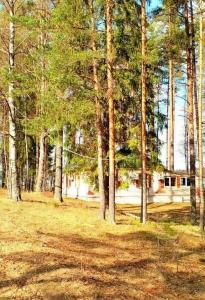 Дом рыбака Отолово - 67