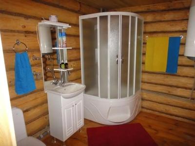 Снегири - 49