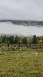 Байский двор - 4