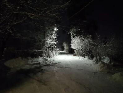 Сосен Бор - 43