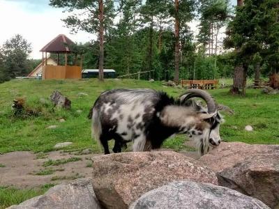 Райсала - 18