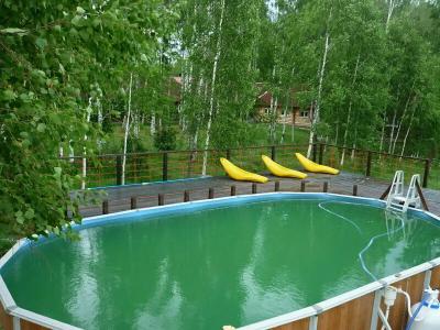 Кедр - 9
