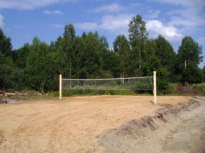 Кедр - 10