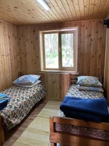 Ромашка - 246