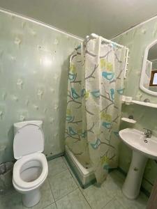 Ромашка - 250