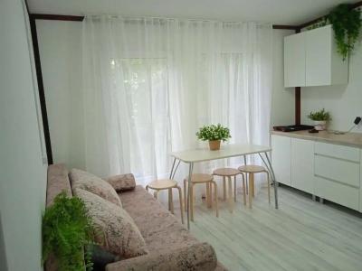 Ромашка - 226