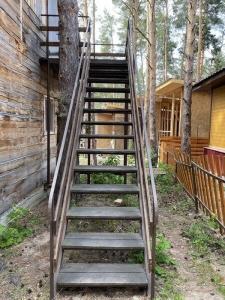 Ромашка - 237