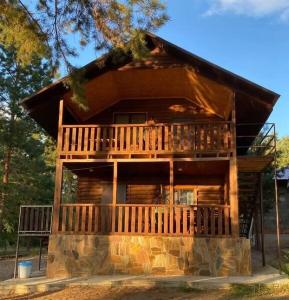 Ромашка - 221