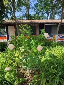 Остров Добра - 104