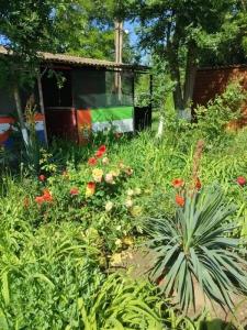 Остров Добра - 105