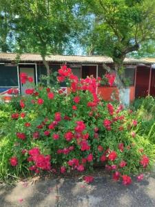 Остров Добра - 106