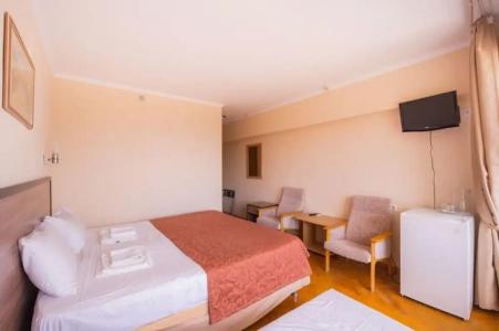 Горизонт - 55