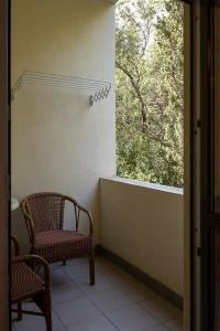 Пушкино - 359