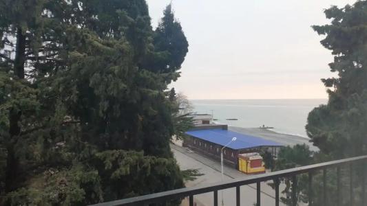 Жоэквара - 255