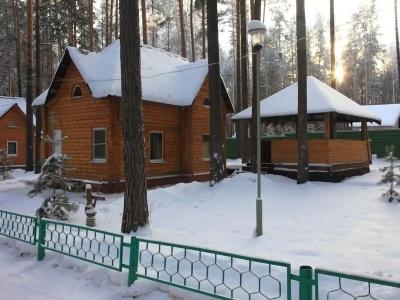 Зеленый Бор - 89