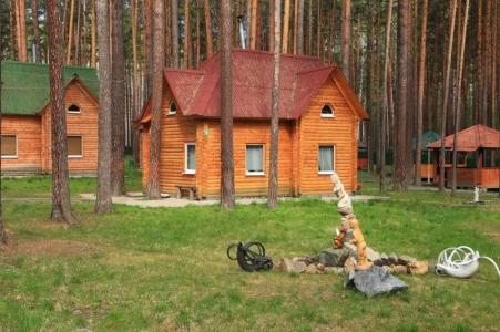 Зеленый Бор - 59