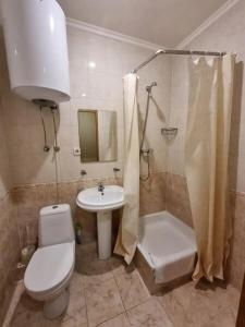 Чайка - 66