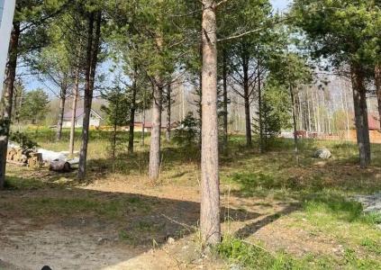 Виллы Карелии - 14