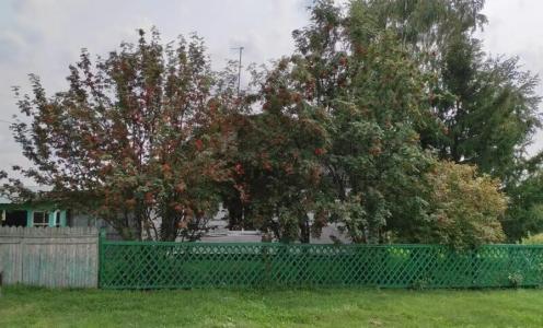 Русский двор - 38
