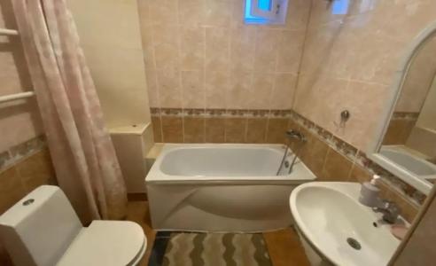 Атмосфера на Толстого - 217