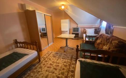 Атмосфера на Толстого - 115