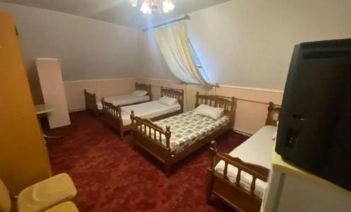 Атмосфера на Толстого - 123