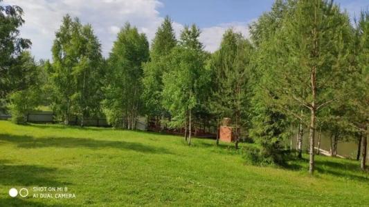 Богородское - 4