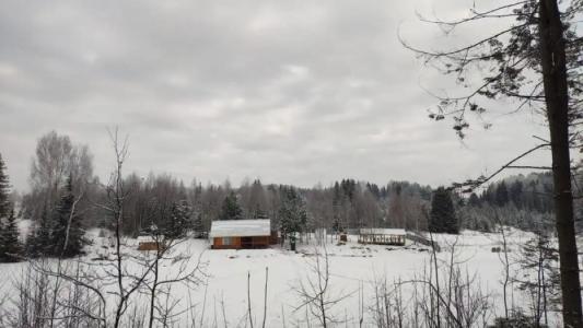 Богородское - 40