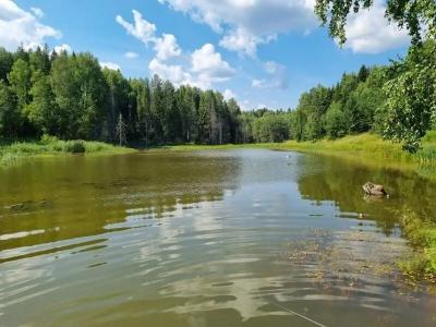 Богородское - 15