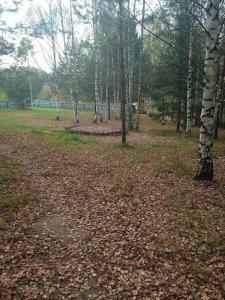 Богородское - 16