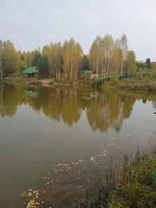 Богородское - 17