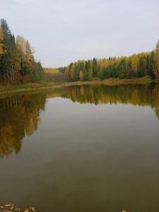 Богородское - 19
